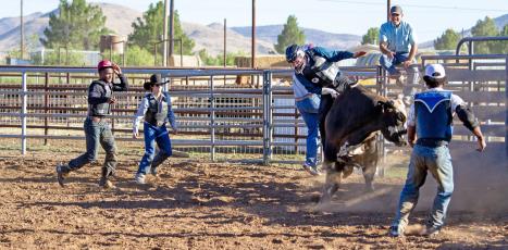 Sul Ross bull rider Chases Skene works to correct his position on top of a practice bull recently as his teammates and coach look on in encouragement. Photo by Kara Gerbert