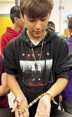 Parks and Wildlife visited the seventh-grade science classes recently at Alpine Middle School and brought examples of local wildlife species. Tylan Walters is shown here holding a Gray-banded Kingsnake, one of the rarer species of non-venomous snakes found in the Big Bend area. Courtesy photo