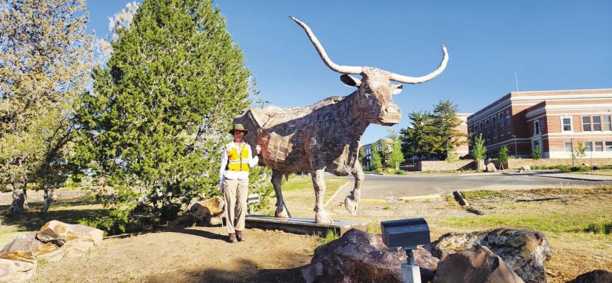 The woman walking across Texas: Walking with Edie Littlefield Sunby through Alpine