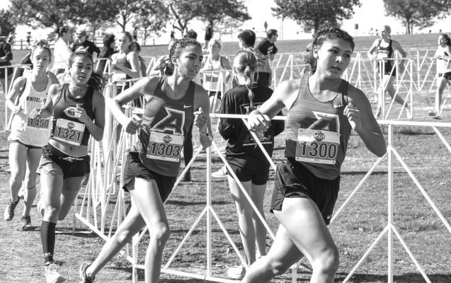 Making strides