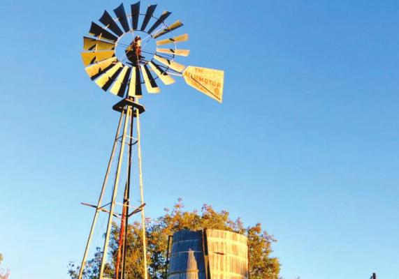 Water well operators across Brewster County are invited to participate in the Groundwater District’s research projects, including a free well water screening in May.