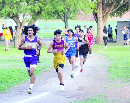 Alpine varsity cross-country runner Tony Harris leads a pack of runners at Saturday’s Big Bend Mountain Ramble held at Kokernot Park. Harris placed 28th at the early morning meet after a full game of Fightin’ Bucks football against the Tornillo Coyotes the previous night. Photo by Joh Covington