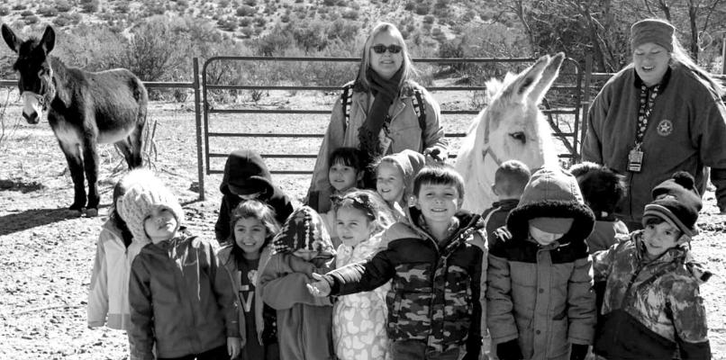 Students and teachers from Alpine Elementary’s Pre-K4 classes took a trip last Friday to visit the Wasserman Wranch, located in Sunny Glen. Students had the opportunity to visit with donkeys, alpacas, miniature horses, kangaroos, and even a camel. Courtesy photo