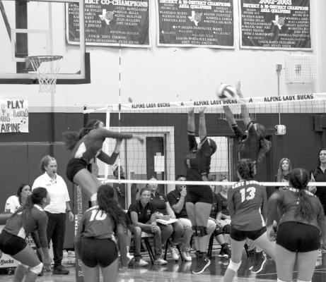 Alpine Lady Bucks volleyball team faced off against Wink at home last Tuesday before defeating the Wildcats on their court Saturday. Photo by Joh Covington
