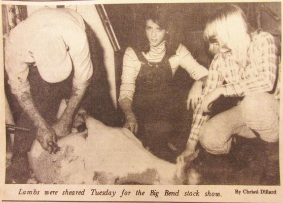 January 15, 1981