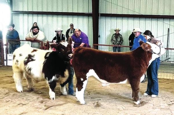 2022 livestock show and sale a success