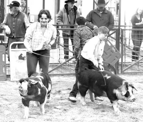 Exhibitors in the ring