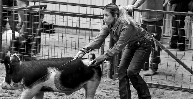 Big Bend Livestock Association Show 2023