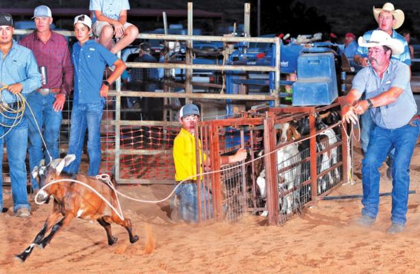 Sul Ross State University alumnus and current Exes President Don Lambert ropes a goat at the SALE arena at an earlier reunion. File photo