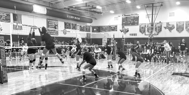The Alpine Lady Bucks volleyball team squared off in scrimmages this past weekend at the Roger Kinzie Memorial in preparation for the 2023 season. The Lady Bucks first game was a dual match with Wink and Fort Stockton, followed by the Best of the West tournament in Wink August 10-12. Photo by J.T. Maroney