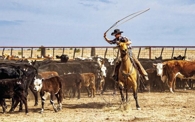 Alpine Photo Contest finalist Larry Petterborg caught this great shot of local cowboy Chet Dove getting ready to catch a calf in his photo titled “You’re Next.” Photo courtesy of Visit Alpine, Texas