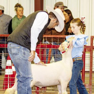 Brooklyn Hendryx watches closely as this year’s lamb and goat judge, Sam Spradlin, checks out the loin on her lamb. Photo by Kara Gerbert