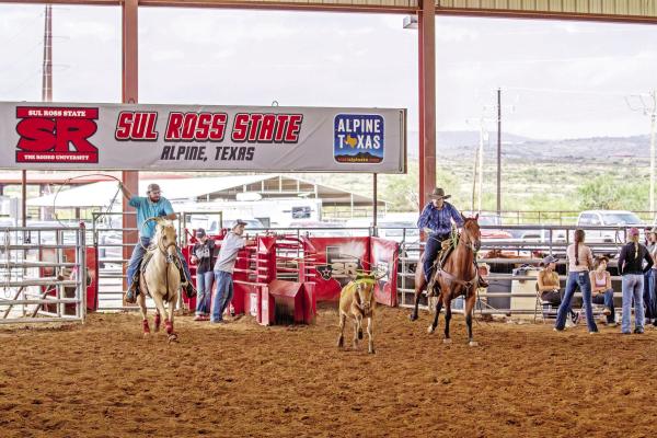 Team ropers Cutter Frank and Trason Whitlock chase a steer during practice at the S.A.L.E. Arena last Thursday. Photo by Kara Gerbert
