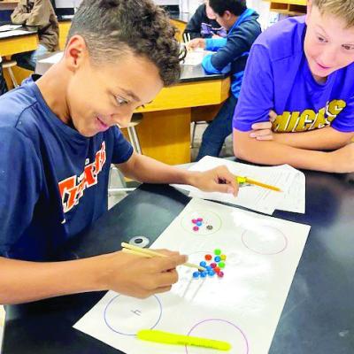 Building brain pathways