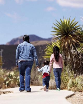 For the less adventurous (or those with small children), the Panther Path Nature Trail at Panther Junction Visitor Center is a 0.2-mile jaunt that can be done in 15 minutes—longer if you’re born to dilly dally. Photo courtesy of National Park Service