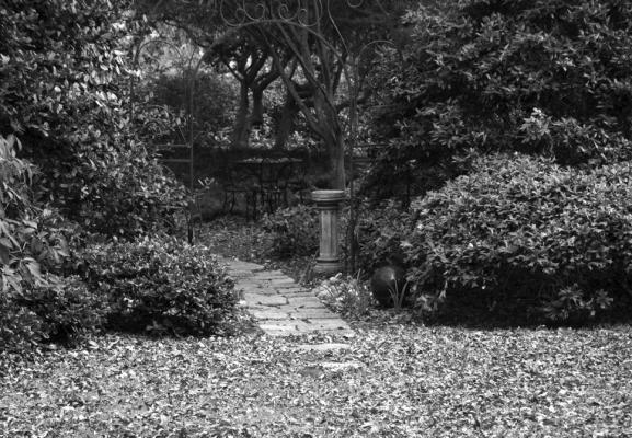 Fallen leaves can lead to lawn diseases, fire hazards