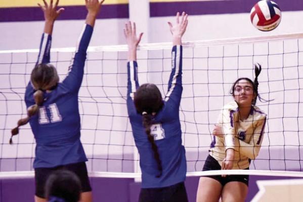 Two volleyball rivals meet again