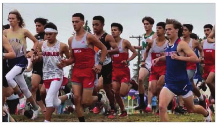 Runnin’ Buck varsity boys take off at Saturday’s Big Bend Mountain Ramble in Alpine. Courtesy photo