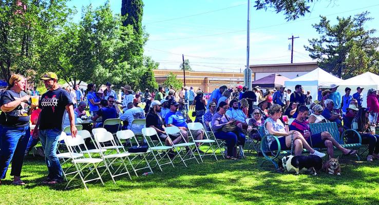 Residents of Alpine and the surrounding area celebrated this year’s semiquencentennial on the lawn of the Brewster County Courthouse on Saturday with food booths, fellowship, and patriotism. Photo by Kara Gerbert