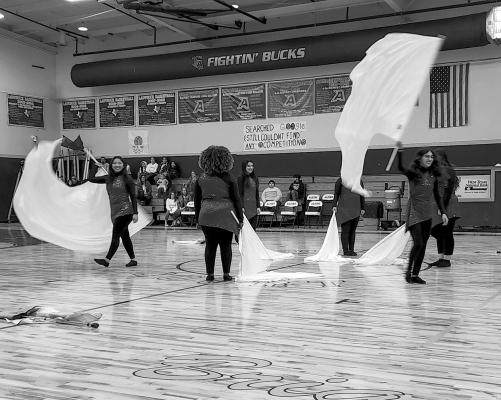 AHS Colorguard