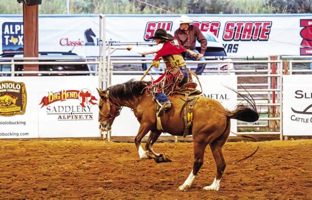 Making it look easy, Sul Ross Rodeo saddle bronc rider Cason Andrews covered this horse last Thursday night for a score of 62 points. Photo by Kara Gerbert