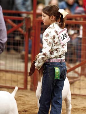 Young exhibitor