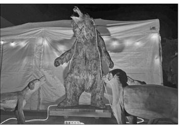 Wood carvings highlight 5th Street