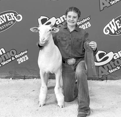Gracie Boultinghouse of the Fort Davis FFA took 6th place with her Finewool Lamb at the 2023 San Antonio Stock Show earlier last week.