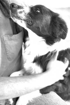 PET OF THE WEEK