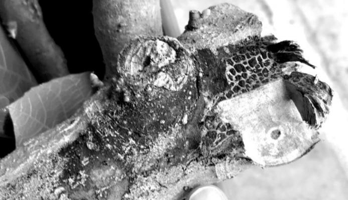Fig will be okay despite mold