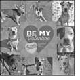 PET OF THE WEEK