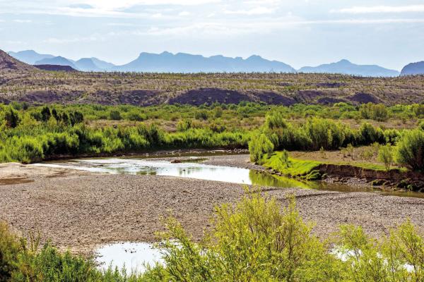 The Chisos Mountains in the background are viewed from the Santa Elena trail, just above the Rio Grande. Photo by Kara Gerbert