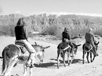 Boquillas crossing posts new winter hours