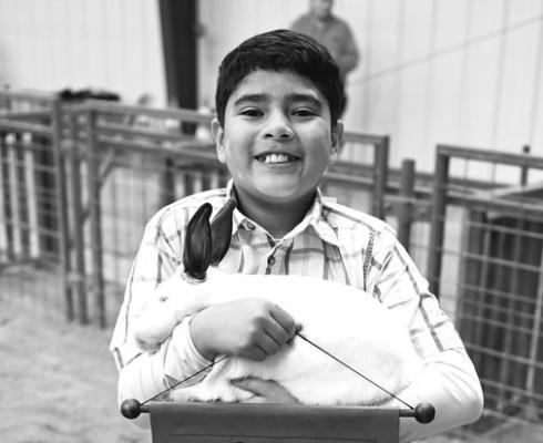 Cayden Madaleno of the Marathon 4-H exhibited the Grand Champion Rabbit at this year’s Big Bend Livestock Show. Photo by Felipe Fierro