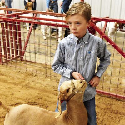 Greyson Schniers from the Twin Peaks 4-H exhibited the first-place goat in the Division II Class V market goat show this past weekend. Photo by Felipe Fierro