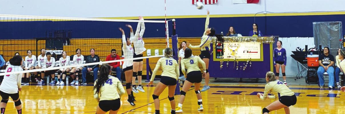 Lady Bucks defeat Anthony
