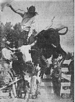 November 15, 1940 The All-American Rodeo and Horse Show in Fort Worth Texas with be held on November 15-24 this year. Usually, these events are lighthearted fun, but every now and then a mean one leaves the chute like the one pictured here.