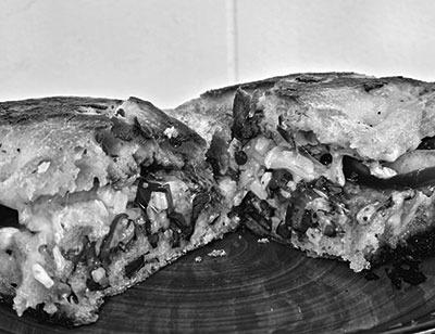 Southwestern Grilled Cheese Photo by Kara Gerbert