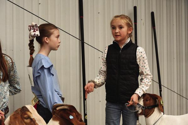 Brooklyn Hendryx and Allie Vick are in deep discussion before they enter the ring to exhibit their market goats to Sam Spradlin.