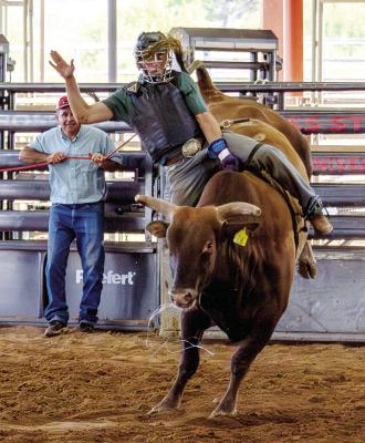 SRSU bull rider Cameron Tune practices his technique during an afternoon rodeo practice at the S.A.L.E. Arena. Photo by Kara Gerbert