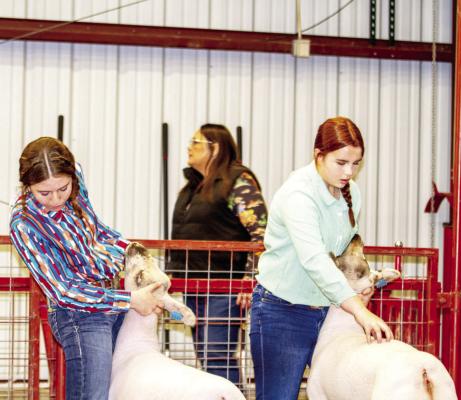 Gracie Boultinghouse of Fort Davis and Rynn Matthews of Alpine pay close attention to how they set up and present their lambs to the judge during this year’s Big Bend Livestock Show. Photo by Kara Gerbert