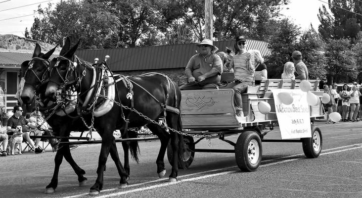 VBS mule team