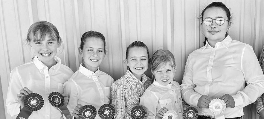 Twin Peaks 4H members compete, place at Invitational