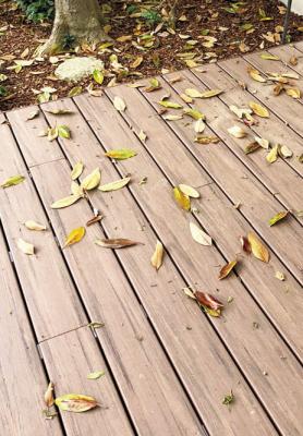 Leaf shed for magnolias common in spring