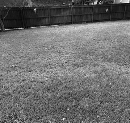 Heat tracking possibly a cause of your lawn woes
