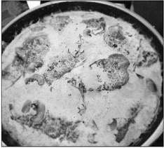 Creamy Mushroom Pork Chops. Photo by Kara Gerbert