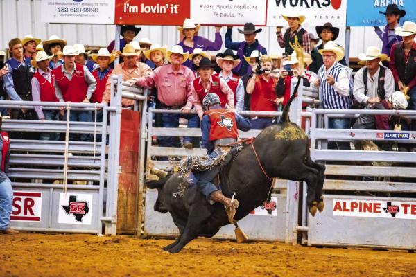 Tristen Hutchings wins the first round of the bull riding at the 77th Annual Sul Ross College Rodeo with an 81 point ride. He finished second overall in the bull riding finals. Courtesy photo