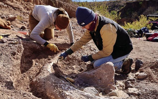 University of Kansas graduate student Haley Bjorklund and CBBS Archaeologist Erika Blecha work carefully to uncover a mammoth tusk recently discovered in West Texas. Photo courtesy of Justin Garnett/CBBS
