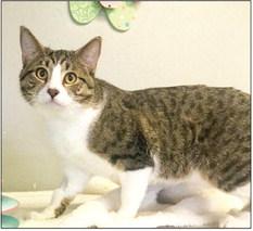 PET OF THE WEEK