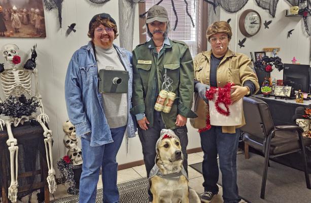 Eleven years of Halloween fun